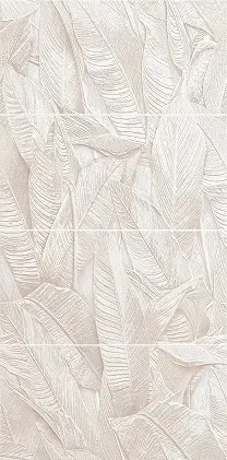 Decoro Musa