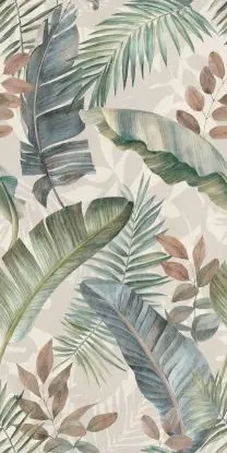 Safari