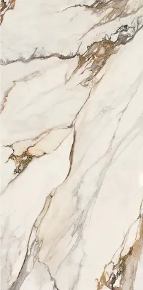 Macchia Antica