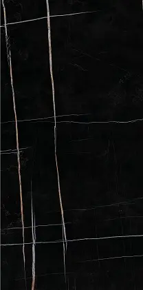 Sahara Noir
